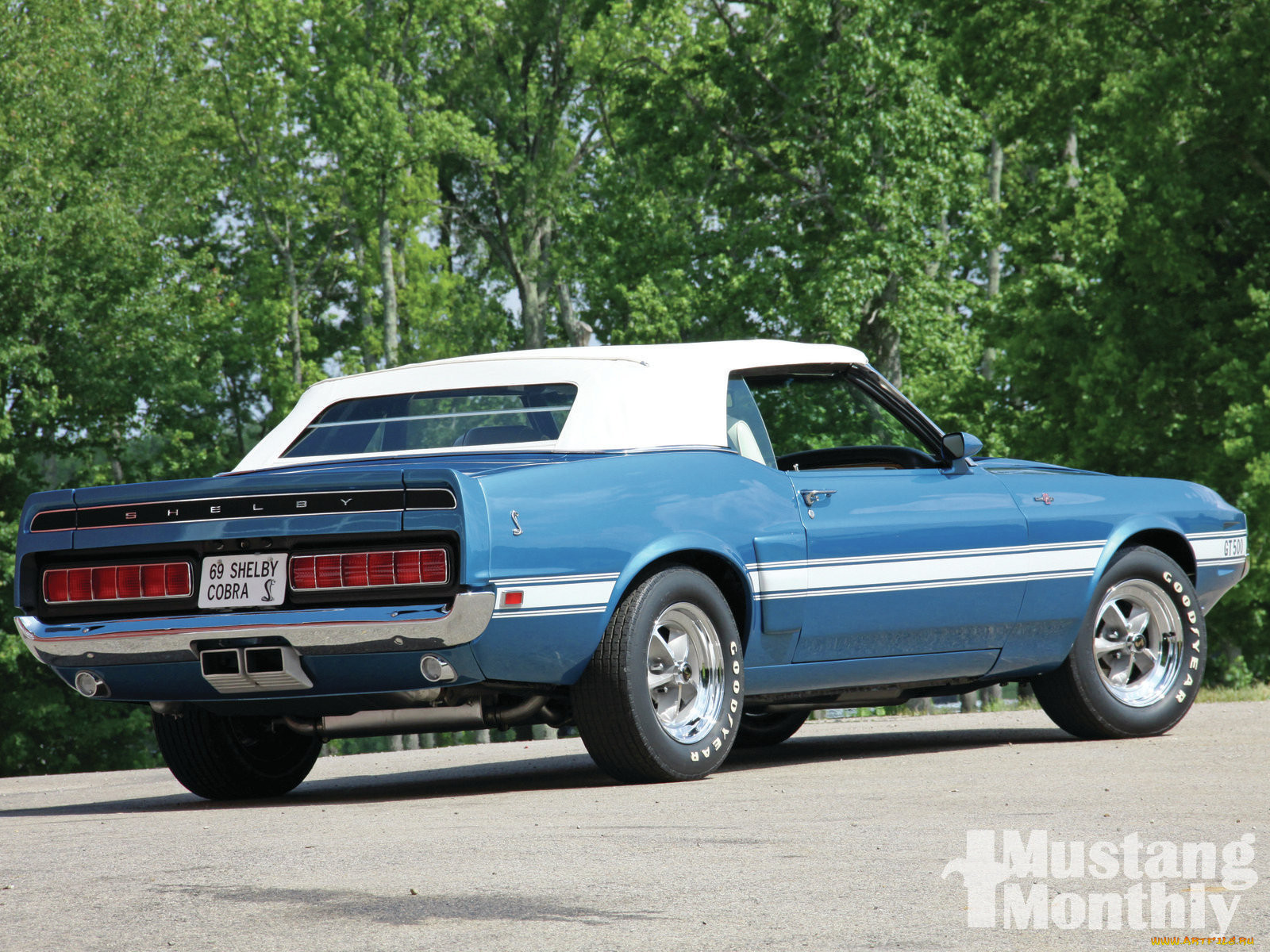 1969, shelby, mustang, gt, 500, 